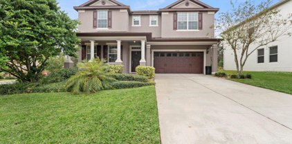 30146 Tokara Terrace, Mount Dora