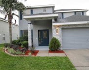 20047 Nob Oak Avenue, Tampa image