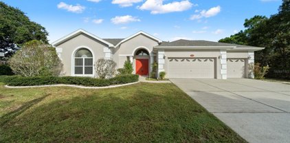 5313 Steeplechase Court, Spring Hill
