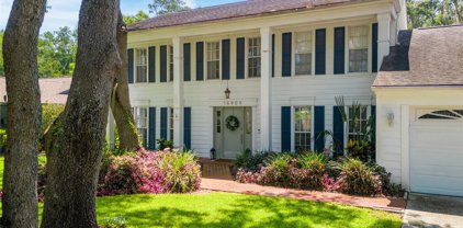 16909 Rolling Rock Drive, Tampa