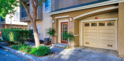 482 Marble Arch Ave, San Jose