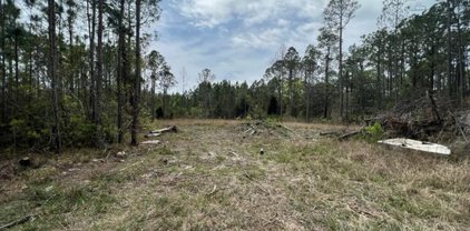 TBD Foxmire Farm Road, Santa Rosa Beach