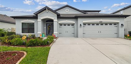 8236 Sequester Loop, Land O' Lakes