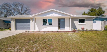 3143 Primrose Drive, Holiday
