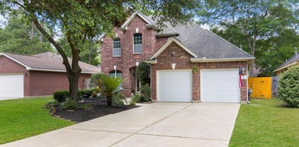 10 E Misty Dawn Drive, The Woodlands