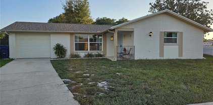 6664 Knightsbridge Drive, New Port Richey