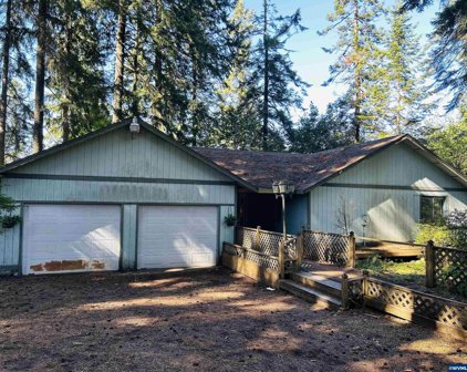42876 Rodgers Mountain Lp, Scio