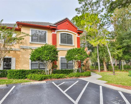 2171 Portofino Place Unit 2724, Palm Harbor