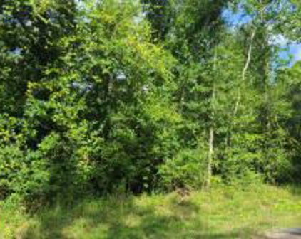 Storozyszyn Rd, DeRidder