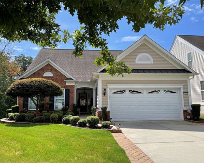54056 Flycatchers  Court, Indian Land