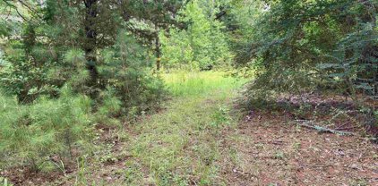 TBD CR 4609 (Parcel 5), Troup