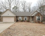 2213 Coral Tree Drive, Bryant image