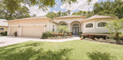 1734 Highland Oaks Boulevard, Lutz