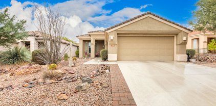 13497 N Holly Grape, Marana