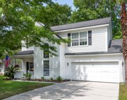 1373 Sassafrass Circle, Mount Pleasant image