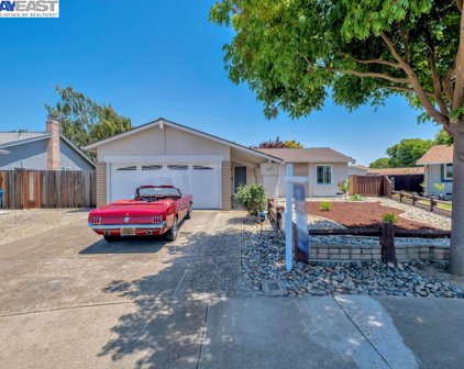 2807 Petunia Ct, Union City