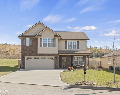 5524 Meadow Wells Drive, Knoxville
