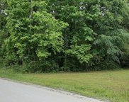 Near 417 Red Bug Road, Hallsboro image