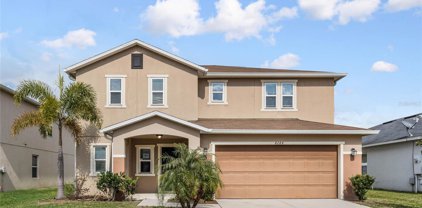 4244 Moon Shadow Loop, Mulberry