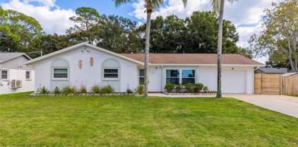 603 Shore Drive E, Oldsmar