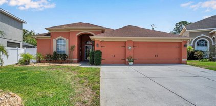 2518 Eagles Crest Court, Holiday