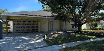 3503 Nakora Drive, Tampa
