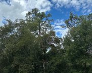 Indian Trails Drive, Tomball image