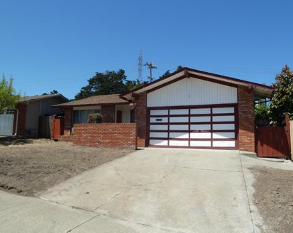 2480 Olympic Dr, South San Francisco