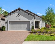 20173 Umbria Hill Drive, Tampa image