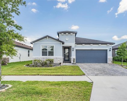 34429 Wynthorne Place, Wesley Chapel