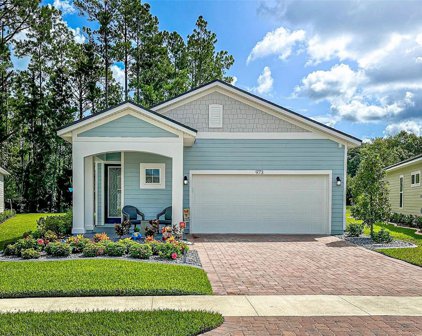 973 Rustic Mill Drive, St Augustine