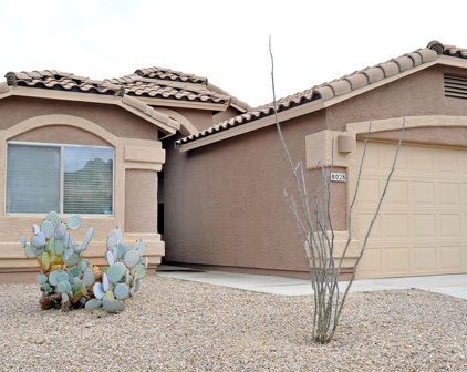 8028 W Star Catcher, Marana