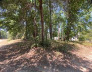 TBA Pine Shadow, Coldspring image