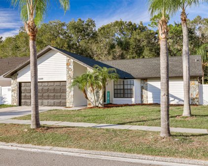 12209 Steppingstone Boulevard, Tampa