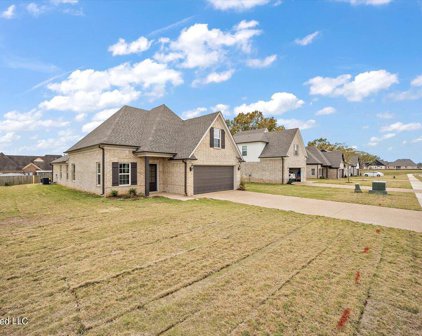 8661 Hayes Drive, Southaven