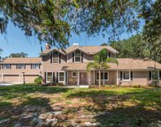 10219 Old Cone Grove Road, Riverview image