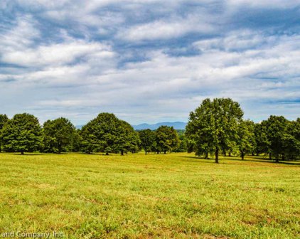 Mountain View Lane, Inman