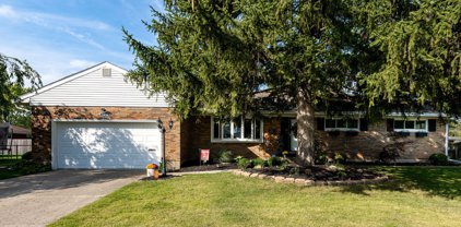 1626 Biscayne Drive, Springfield