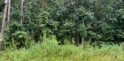 Lakeview Drive, Abbeville