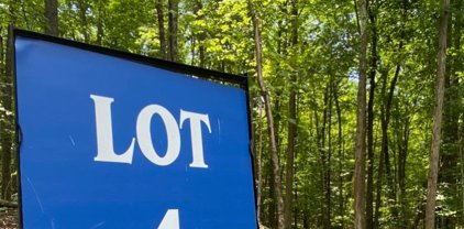 Forest View Drive Unit Lot 4, Catskill