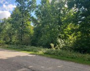 Lot 17 TIMBER SHORES DRIVE, Stevens Point image