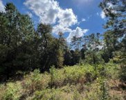 13110 County Road 201, Plantersville image