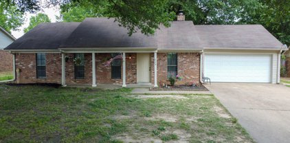 6170 Chickasaw Drive, Olive Branch