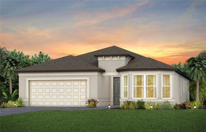 5847 Shorebird Branch, Land O' Lakes
