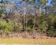 Lot 26-5 Blue Lake Drive, Plantersville image