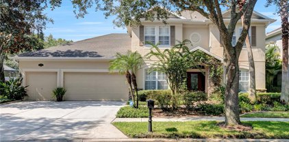 16170 Colchester Palms Drive, Tampa