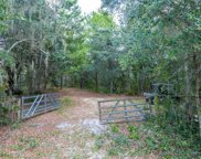 000 Botany Woods Road, Eustis image