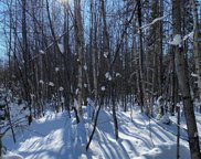 NEAR Springstead Rd, Park Falls image
