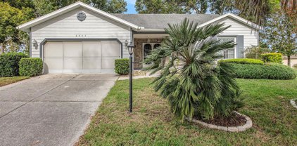 2447 Grasslands Court, Spring Hill