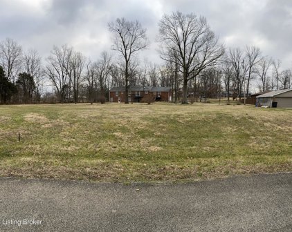 46 Jefferson Ct, Mt Washington